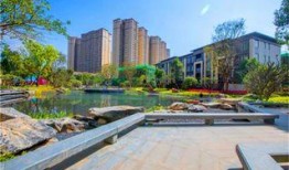 龙光城爆料最新消息新闻,揭秘项目进展与周边动态