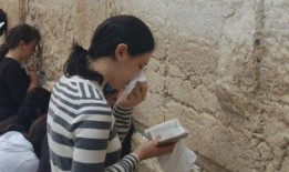 娱乐吃瓜君耍猴版,揭秘耍猴版背后的趣味与真相